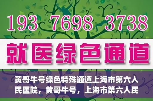 黄哥牛号绿色特殊通道上海市第六人民医院，黄哥牛号，上海市第六人民医院绿色特殊通道揭秘