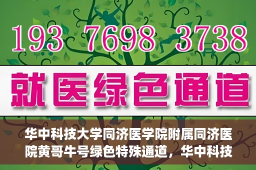 华中科技大学同济医学院附属同济医院黄哥牛号绿色特殊通道，华中科技大学同济医院黄哥牛号绿色特殊通道揭秘