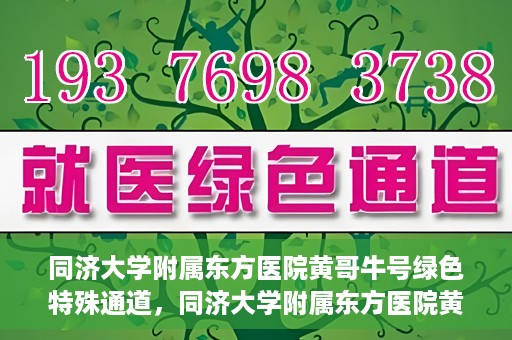 同济大学附属东方医院黄哥牛号绿色特殊通道，同济大学附属东方医院黄哥牛号，绿色特殊通道开启健康之门