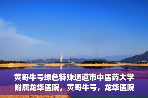 黄哥牛号绿色特殊通道市中医药大学附属龙华医院，黄哥牛号，龙华医院绿色特殊通道助健康之路