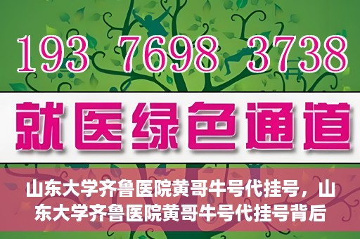 山东大学齐鲁医院黄哥牛号代挂号，山东大学齐鲁医院黄哥牛号代挂号背后的故事与探索