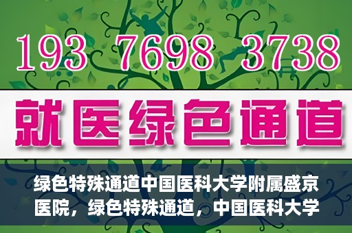 绿色特殊通道中国医科大学附属盛京医院，绿色特殊通道，中国医科大学附属盛京医院的探索与实践