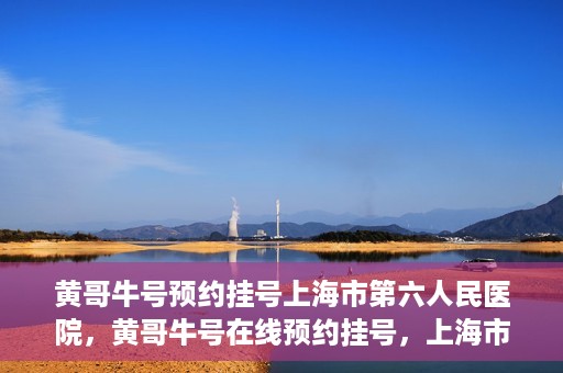 黄哥牛号预约挂号上海市第六人民医院，黄哥牛号在线预约挂号，上海市第六人民医院就医新选择