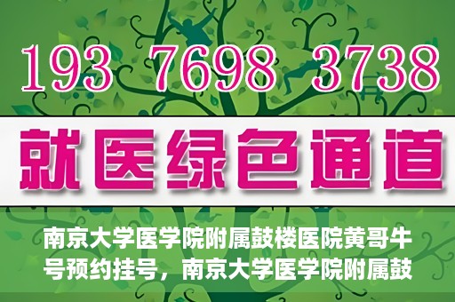 南京大学医学院附属鼓楼医院黄哥牛号预约挂号，南京大学医学院附属鼓楼医院黄哥牛号预约挂号攻略解析