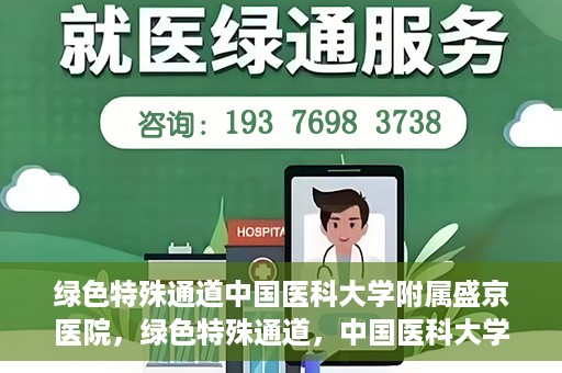 绿色特殊通道中国医科大学附属盛京医院，绿色特殊通道，中国医科大学附属盛京医院的探索与实践
