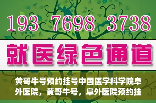黄哥牛号预约挂号中国医学科学院阜外医院，黄哥牛号，阜外医院预约挂号服务启动，中国医学科学院挂号新体验