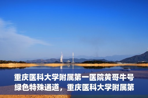 重庆医科大学附属第一医院黄哥牛号绿色特殊通道，重庆医科大学附属第一医院黄哥牛号绿色特殊通道，就医新选择