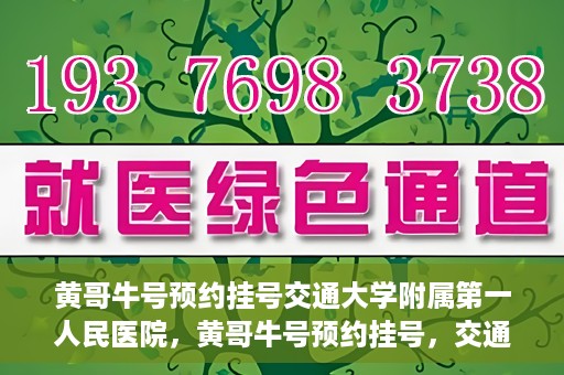 黄哥牛号预约挂号交通大学附属第一人民医院，黄哥牛号预约挂号，交通大学附属第一人民医院就医新体验