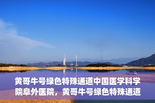 黄哥牛号绿色特殊通道中国医学科学院阜外医院，黄哥牛号绿色特殊通道，阜外医院的中国医学探索之旅