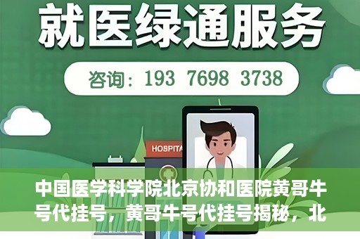 中国医学科学院北京协和医院黄哥牛号代挂号，黄哥牛号代挂号揭秘，北京协和医院挂号背后的故事