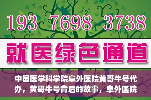 中国医学科学院阜外医院黄哥牛号代办，黄哥牛号背后的故事，阜外医院名医揭秘与医疗服务的深度解读
