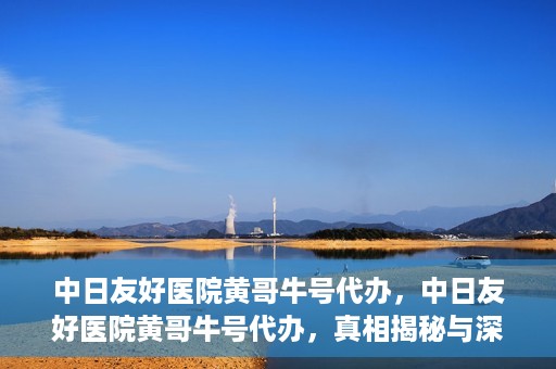 中日友好医院黄哥牛号代办，中日友好医院黄哥牛号代办，真相揭秘与深度解析