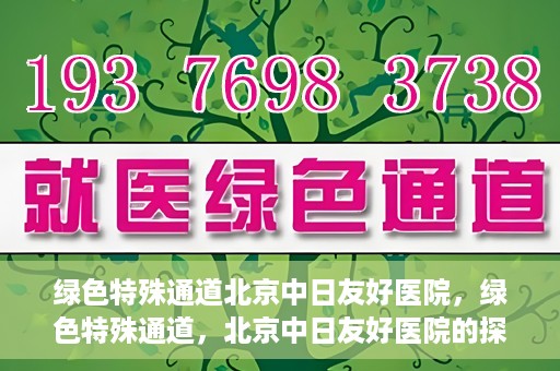 绿色特殊通道北京中日友好医院，绿色特殊通道，北京中日友好医院的探索与实践