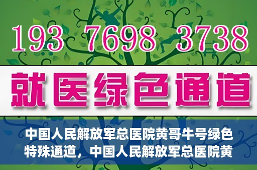 中国人民解放军总医院黄哥牛号绿色特殊通道，中国人民解放军总医院黄哥牛号，绿色特殊通道开启健康之门
