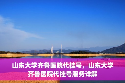 山东大学齐鲁医院代挂号，山东大学齐鲁医院代挂号服务详解