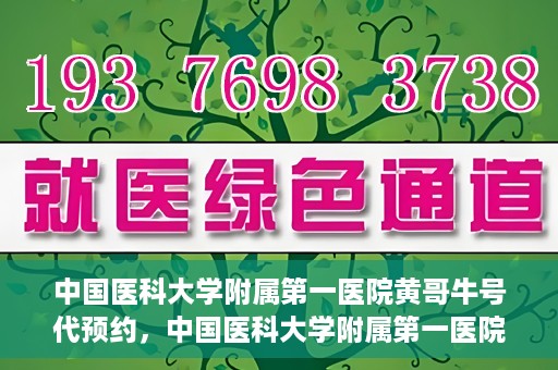 中国医科大学附属第一医院黄哥牛号代预约，中国医科大学附属第一医院黄哥牛号预约服务详解