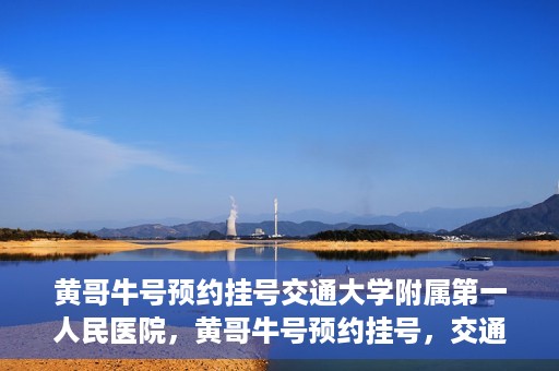 黄哥牛号预约挂号交通大学附属第一人民医院，黄哥牛号预约挂号，交通大学附属第一人民医院就医新体验