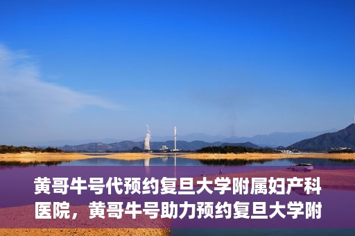 黄哥牛号代预约复旦大学附属妇产科医院，黄哥牛号助力预约复旦大学附属妇产科医院，一站式便捷服务开启预约新纪元