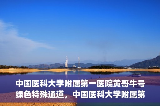 中国医科大学附属第一医院黄哥牛号绿色特殊通道，中国医科大学附属第一医院黄哥牛号，绿色特殊通道的开启与探索