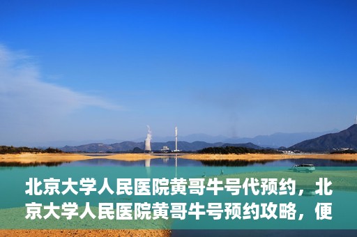 北京大学人民医院黄哥牛号代预约，北京大学人民医院黄哥牛号预约攻略，便捷代预约服务解析