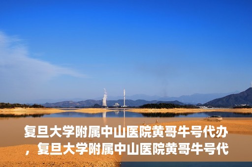 复旦大学附属中山医院黄哥牛号代办，复旦大学附属中山医院黄哥牛号代办，权威医疗资源的深度解读与便捷服务体验