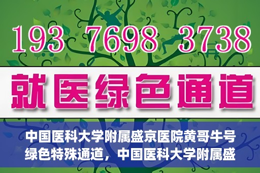 中国医科大学附属盛京医院黄哥牛号绿色特殊通道，中国医科大学附属盛京医院黄哥牛号，绿色特殊通道开启健康之门