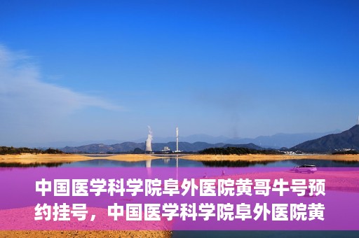 中国医学科学院阜外医院黄哥牛号预约挂号，中国医学科学院阜外医院黄哥牛号预约挂号指南