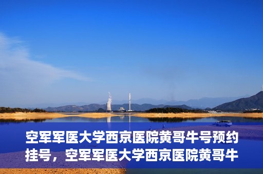 空军军医大学西京医院黄哥牛号预约挂号，空军军医大学西京医院黄哥牛医生预约挂号攻略
