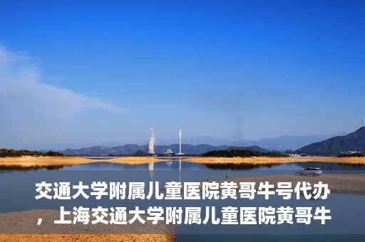 交通大学附属儿童医院黄哥牛号代办，上海交通大学附属儿童医院黄哥牛号代办揭秘，真相与警示