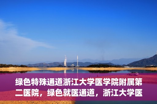 绿色特殊通道浙江大学医学院附属第二医院，绿色就医通道，浙江大学医学院附属第二医院的探索与实践