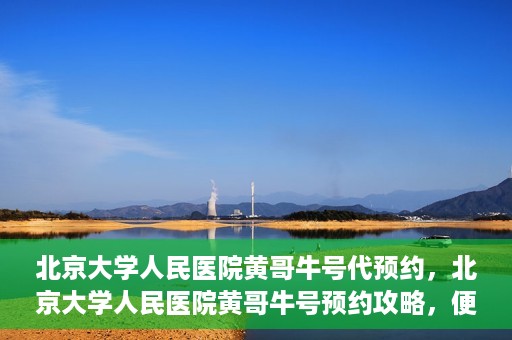 北京大学人民医院黄哥牛号代预约，北京大学人民医院黄哥牛号预约攻略，便捷代预约服务解析