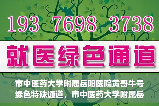 市中医药大学附属岳阳医院黄哥牛号绿色特殊通道，市中医药大学附属岳阳医院黄哥牛号，绿色特殊通道开启健康之门