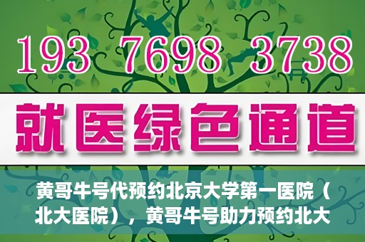 黄哥牛号代预约北京大学第一医院（北大医院），黄哥牛号助力预约北大医院——北京大学第一医院权威预约服务开启