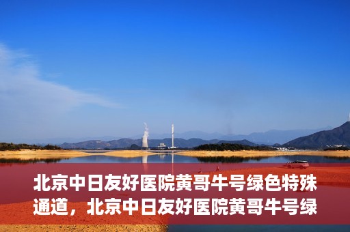 北京中日友好医院黄哥牛号绿色特殊通道，北京中日友好医院黄哥牛号绿色就医特殊通道解析