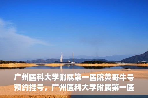 广州医科大学附属第一医院黄哥牛号预约挂号，广州医科大学附属第一医院黄哥名医牛号预约挂号攻略