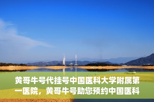 黄哥牛号代挂号中国医科大学附属第一医院，黄哥牛号助您预约中国医科大学附属第一医院专家号