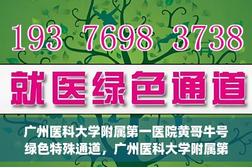 广州医科大学附属第一医院黄哥牛号绿色特殊通道，广州医科大学附属第一医院黄哥牛号，绿色特殊通道开启健康之门