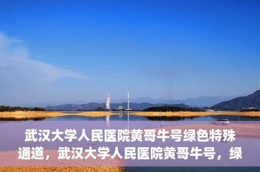 武汉大学人民医院黄哥牛号绿色特殊通道，武汉大学人民医院黄哥牛号，绿色特殊通道开启