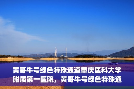 黄哥牛号绿色特殊通道重庆医科大学附属第一医院，黄哥牛号绿色特殊通道，重庆医科大学附属第一医院实践探索