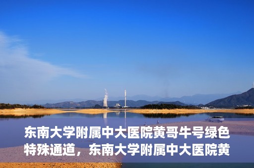 东南大学附属中大医院黄哥牛号绿色特殊通道，东南大学附属中大医院黄哥牛号，绿色特殊通道开启生命之门