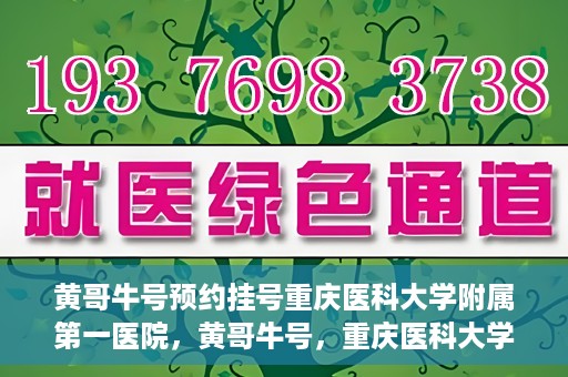 黄哥牛号预约挂号重庆医科大学附属第一医院，黄哥牛号，重庆医科大学附属第一医院预约挂号服务开启