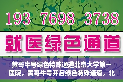 黄哥牛号绿色特殊通道北京大学第一医院，黄哥牛号开启绿色特殊通道，北京大学第一医院全力护航健康之路