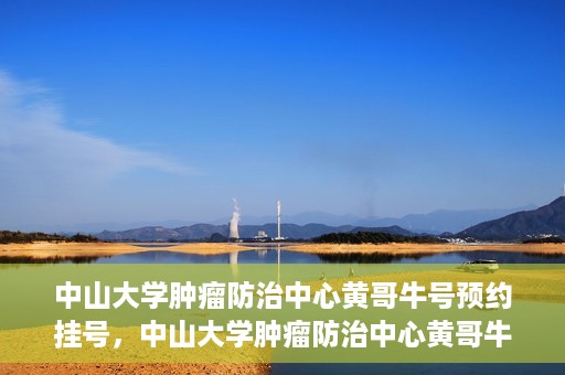 中山大学肿瘤防治中心黄哥牛号预约挂号，中山大学肿瘤防治中心黄哥牛号预约挂号攻略解析