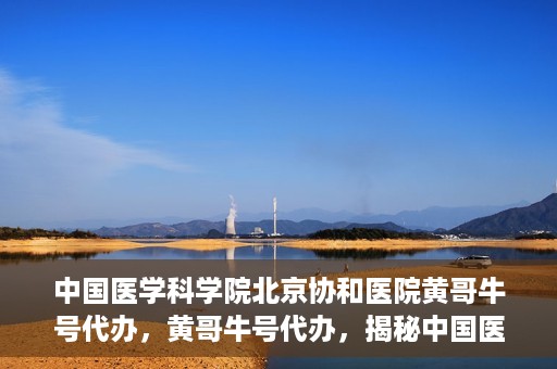 中国医学科学院北京协和医院黄哥牛号代办，黄哥牛号代办，揭秘中国医学科学院北京协和医院背后的故事