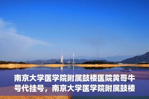 南京大学医学院附属鼓楼医院黄哥牛号代挂号，南京大学医学院附属鼓楼医院黄哥牛号代挂号解析，专业解读与预约攻略