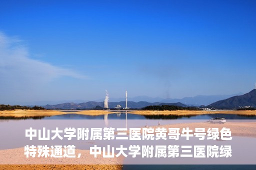 中山大学附属第三医院黄哥牛号绿色特殊通道，中山大学附属第三医院绿色特殊通道，黄哥牛号引领医疗创新之路
