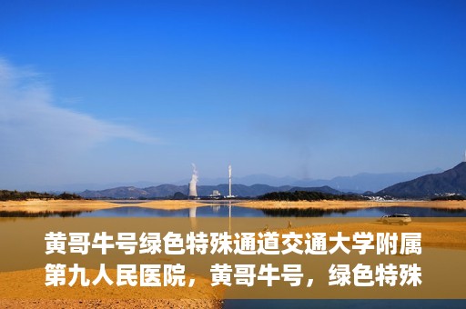 黄哥牛号绿色特殊通道交通大学附属第九人民医院，黄哥牛号，绿色特殊通道下的交通大学附属第九人民医院新篇章