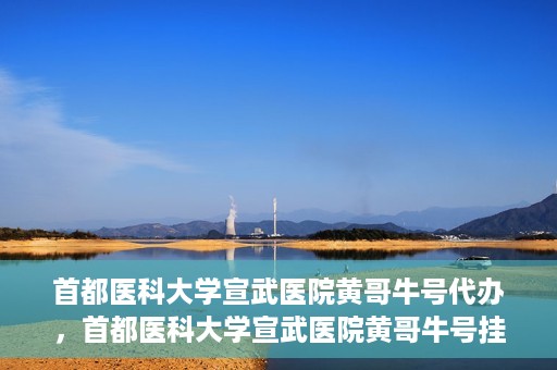 首都医科大学宣武医院黄哥牛号代办，首都医科大学宣武医院黄哥牛号挂号代办攻略