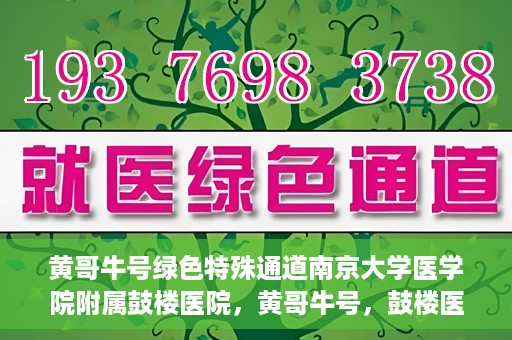 黄哥牛号绿色特殊通道南京大学医学院附属鼓楼医院，黄哥牛号，鼓楼医院开启绿色特殊通道助力健康之路