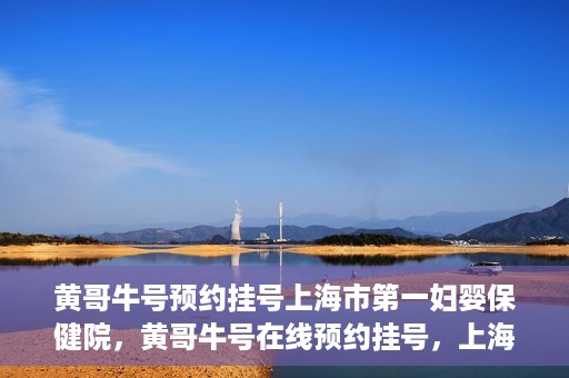 黄哥牛号预约挂号上海市第一妇婴保健院，黄哥牛号在线预约挂号，上海市第一妇婴保健院的便捷就医之旅